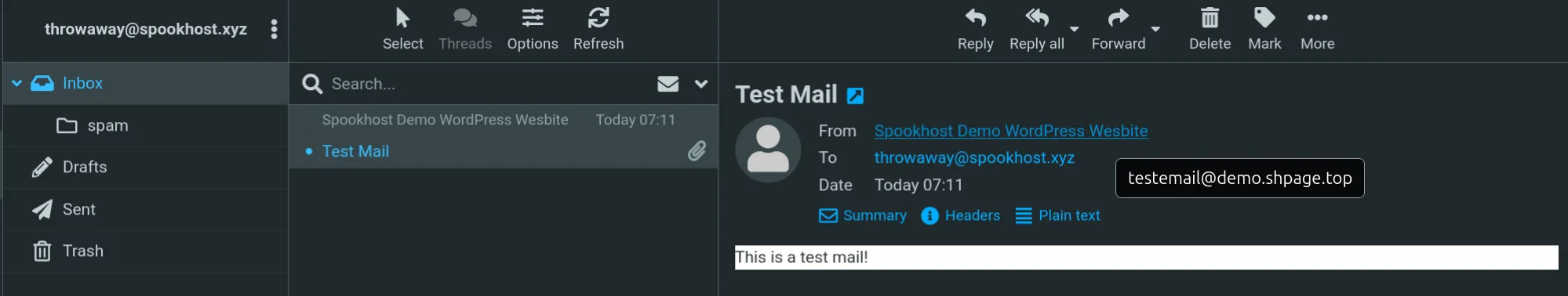 Test Email Delivery Success